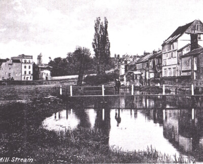 The meadows/Garden Place