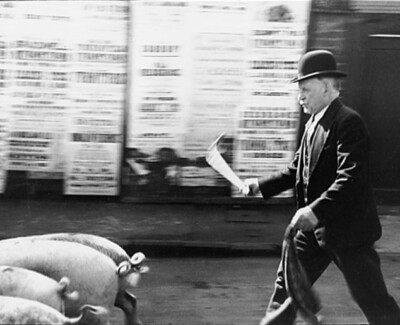 Burkitts Lane (Humphrey Spender)