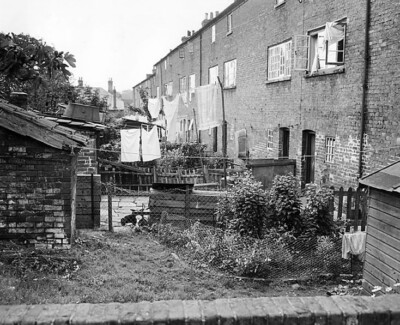 Gooseberry Row