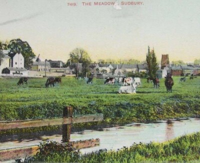 The Sudbury Commonlands