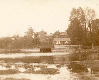 The Croft