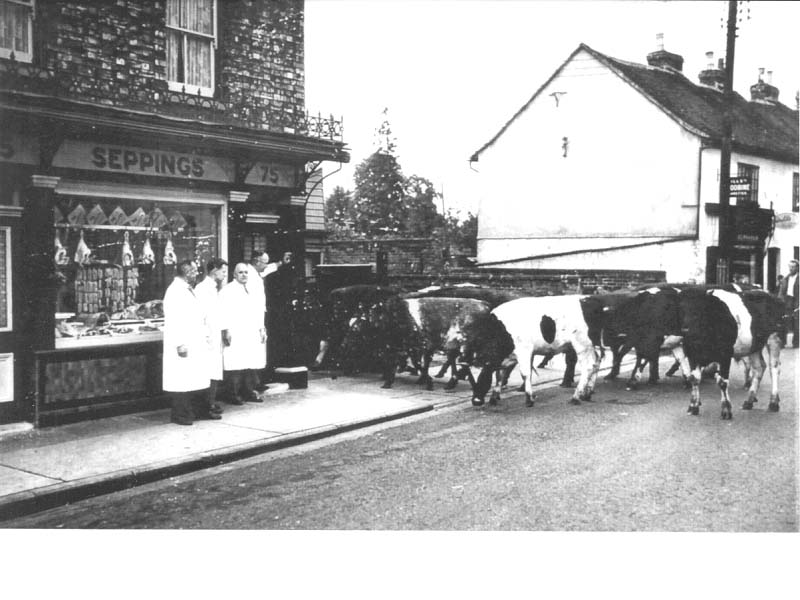East Street Sudbury Photo Archive