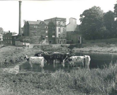 Walnuttree Lane