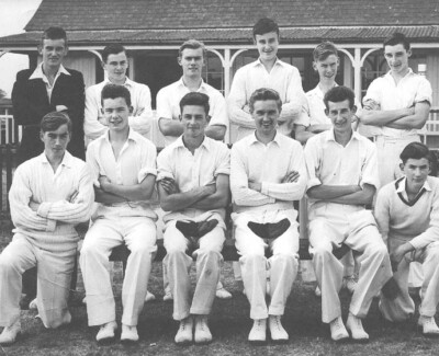Sudbury Grammar School cricket